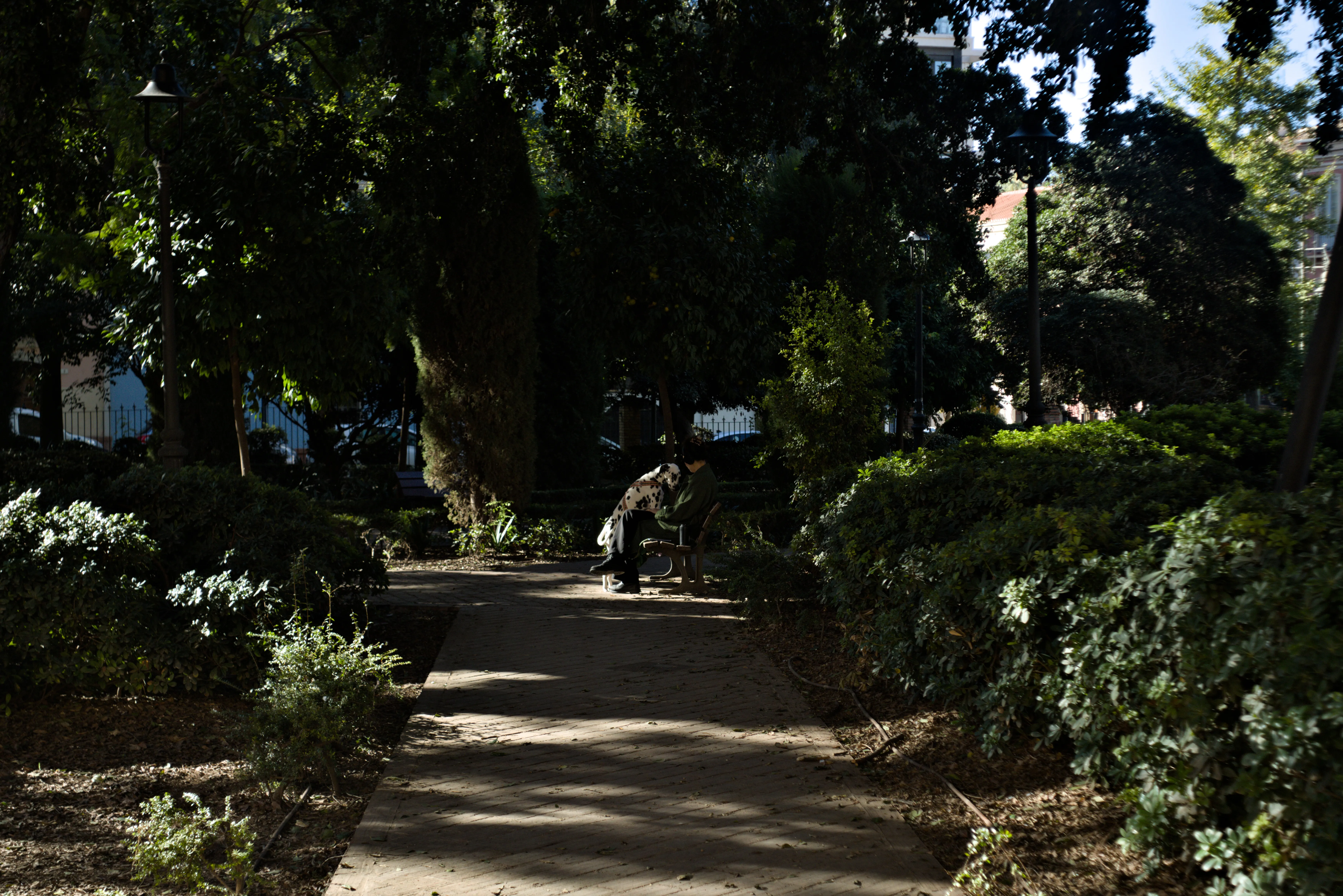 Meyer-Optik Görlitz Primagon 35mm f4.5 (M42) - _I4A3017.webp